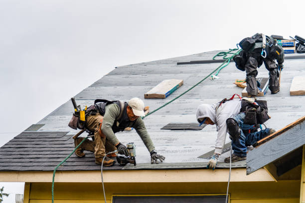 Professional Gutter Installation technician working in Warrensburg, IL